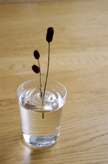 Floating-ripple-vases-2.jpg